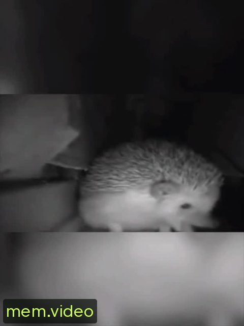 Кадр на 0:03