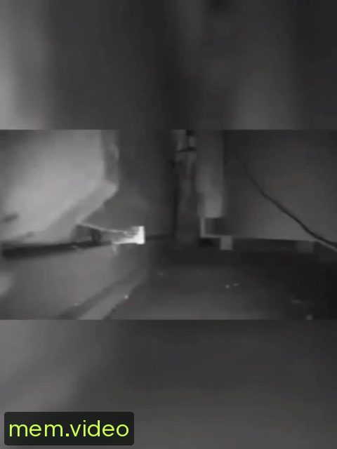 Кадр на 0:00