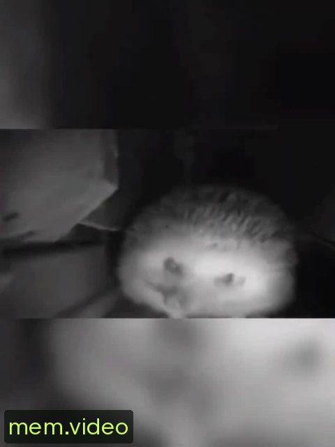 Кадр на 0:02