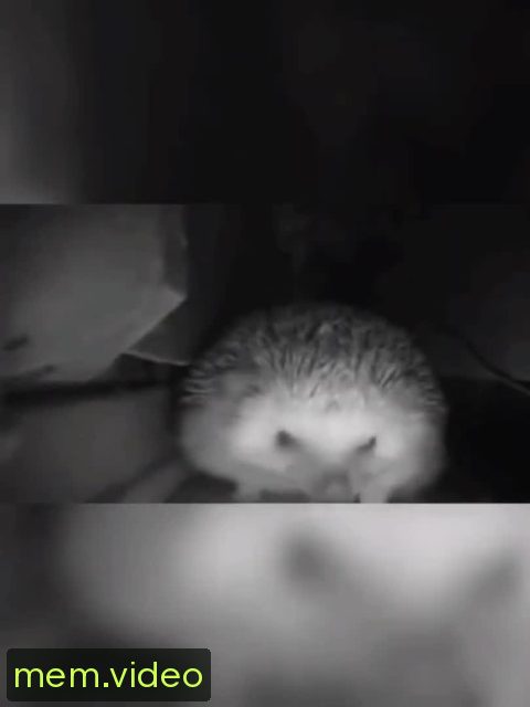 Кадр на 0:03