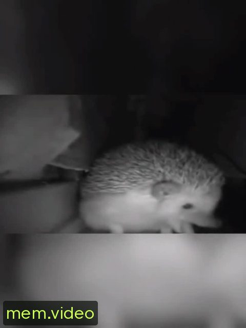 Кадр на 0:07