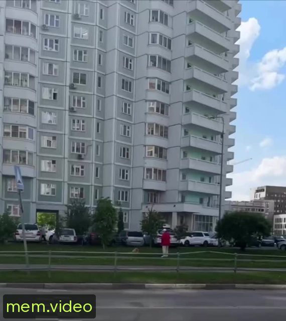 Кадр на 0:00