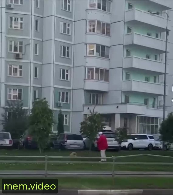 Кадр на 0:01