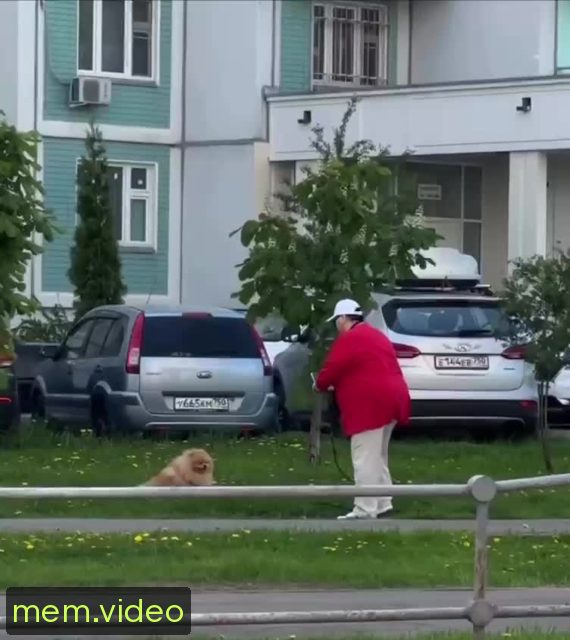 Кадр на 0:02