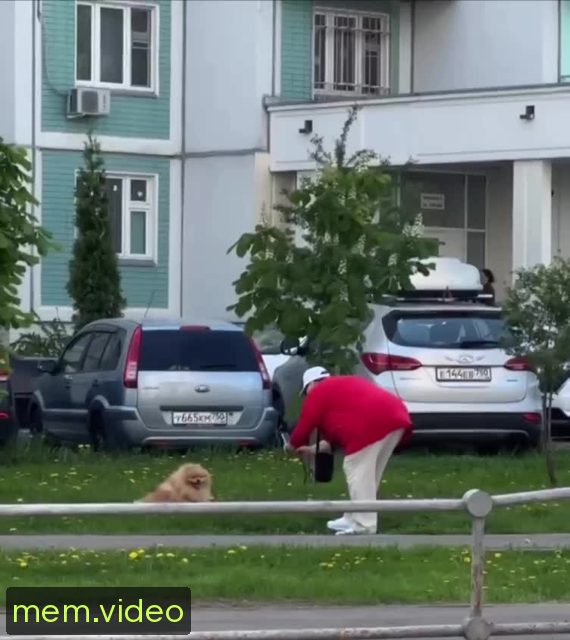 Кадр на 0:03