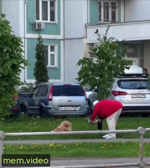 Кадр на 0:04