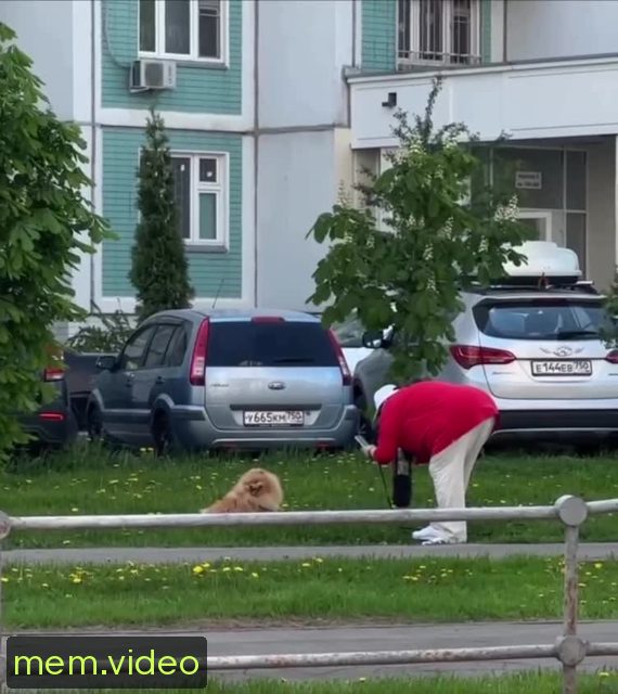 Кадр на 0:06