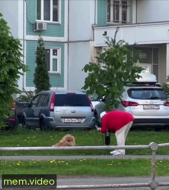 Кадр на 0:07