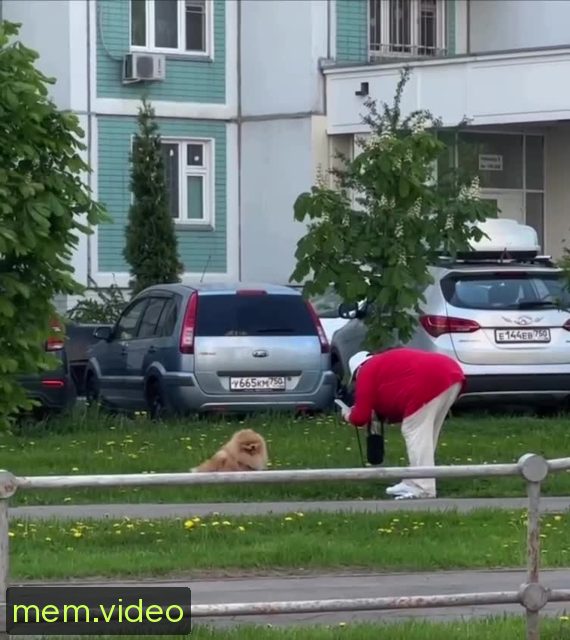 Кадр на 0:10