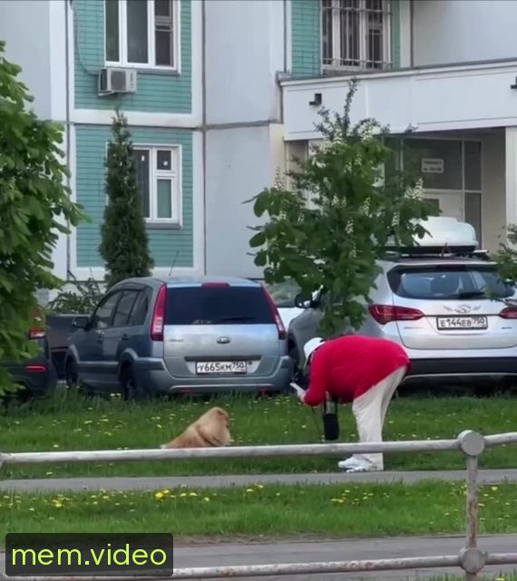 Кадр на 0:11