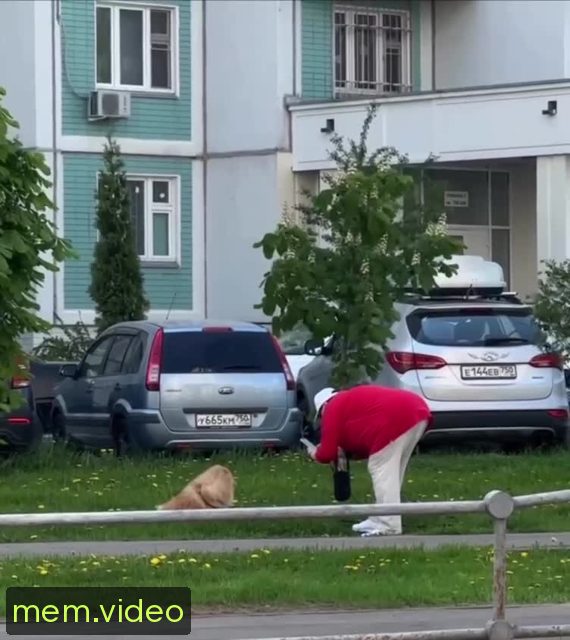 Кадр на 0:12