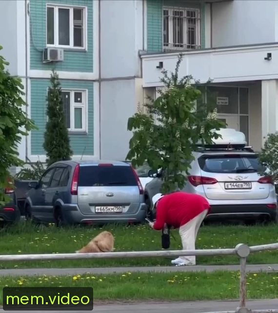 Кадр на 0:13