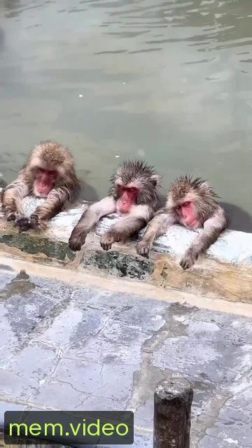Кадр на 0:01