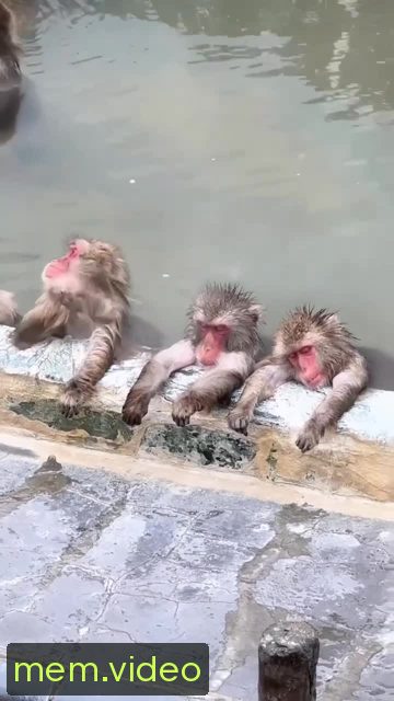 Кадр на 0:04
