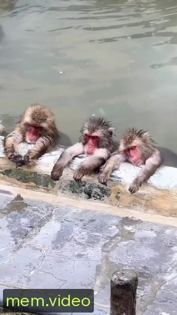 Кадр на 0:00
