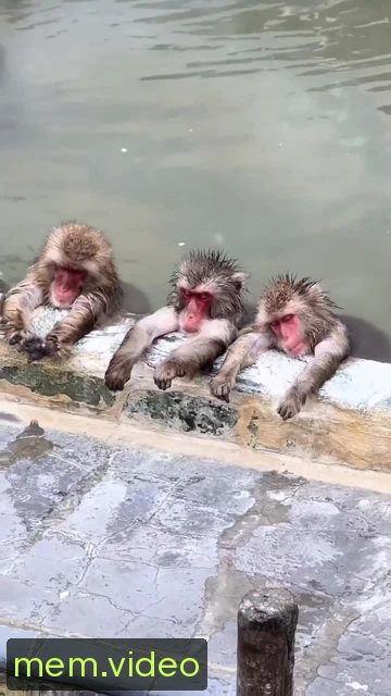 Кадр на 0:01