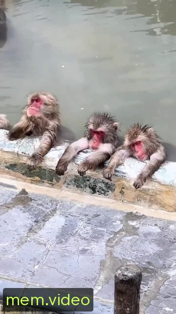 Кадр на 0:03