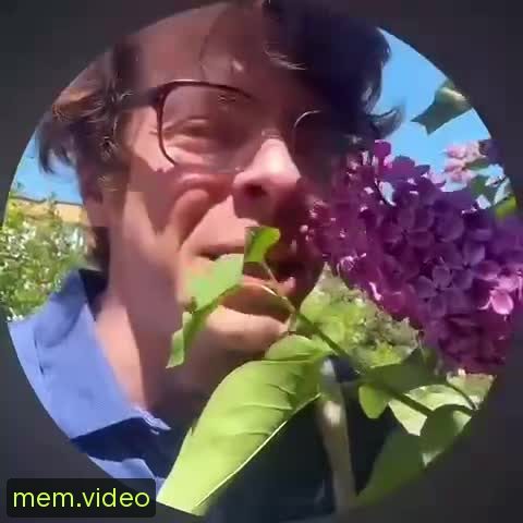 Кадр на 0:05