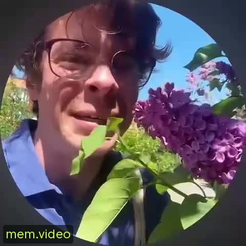 Кадр на 0:06