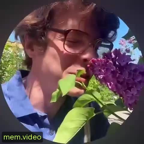Кадр на 0:08