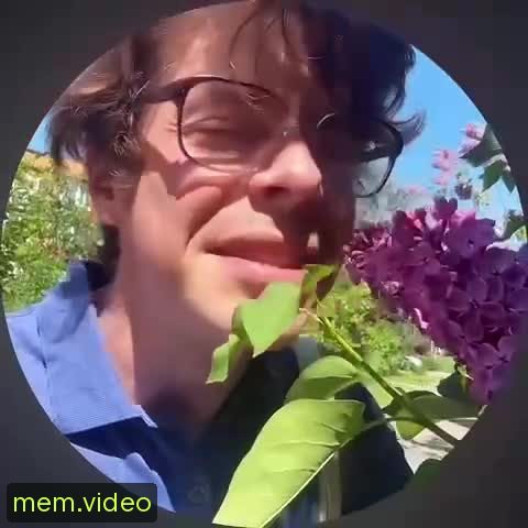Кадр на 0:10