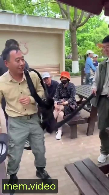Кадр на 0:05