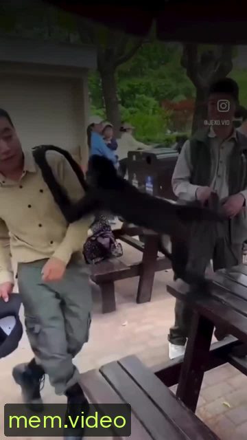 Кадр на 0:06