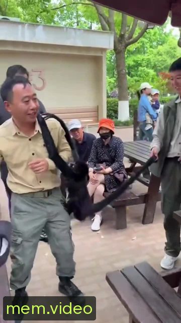 Кадр на 0:05