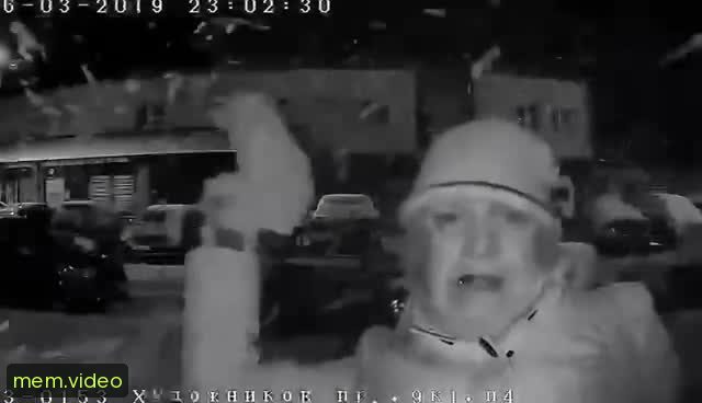Кадр на 0:00
