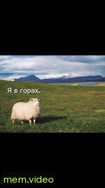 Кадр на 0:00