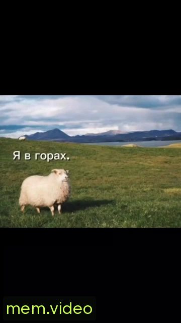 Кадр на 0:00
