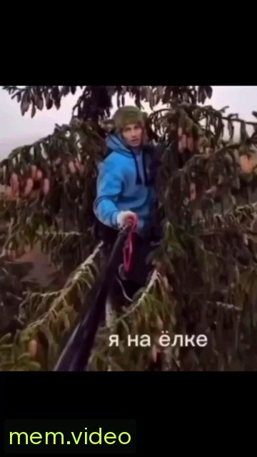 Кадр на 0:03