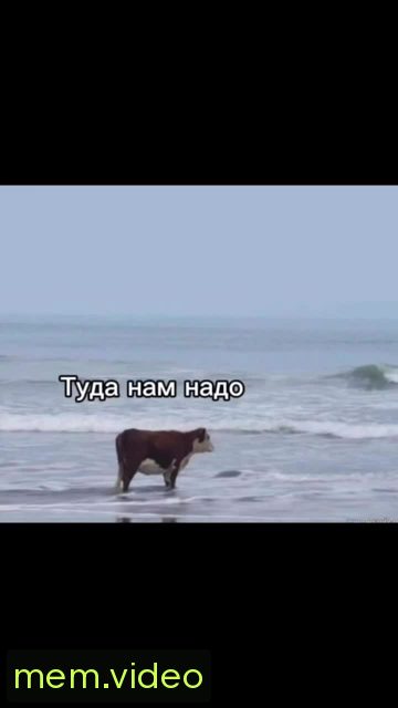 Кадр на 0:05