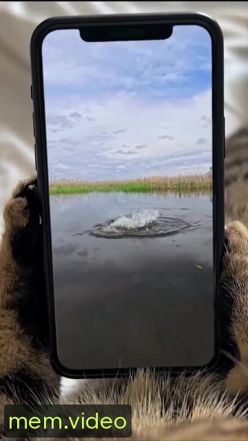 Кадр на 0:13