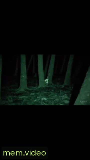 Кадр на 0:12