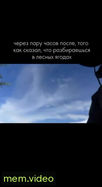 Кадр на 0:00