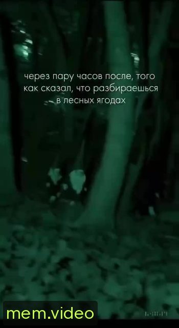 Кадр на 0:03