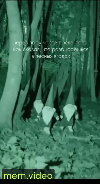 Кадр на 0:04