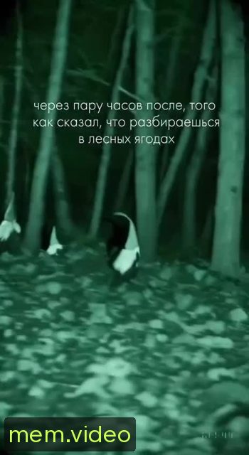 Кадр на 0:05
