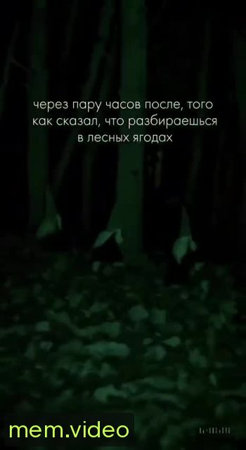 Кадр на 0:06