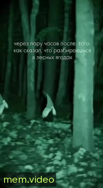 Кадр на 0:07