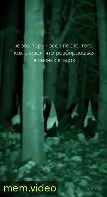 Кадр на 0:07