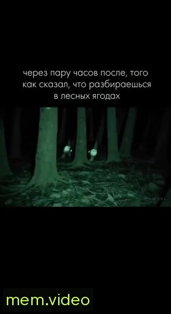 Кадр на 0:08