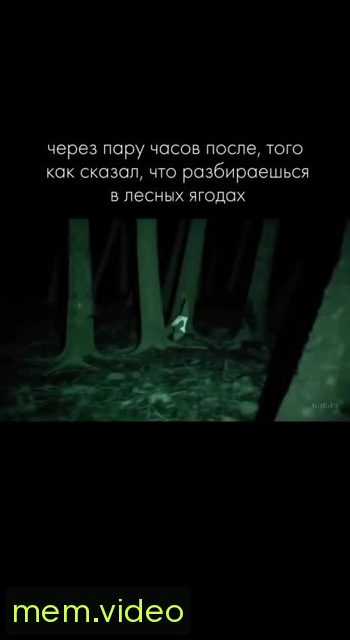 Кадр на 0:09