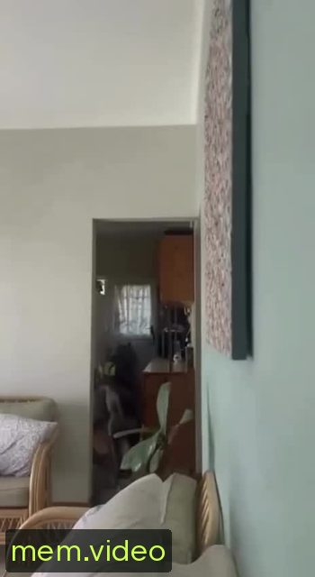 Кадр на 0:00