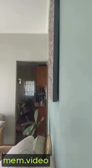 Кадр на 0:00