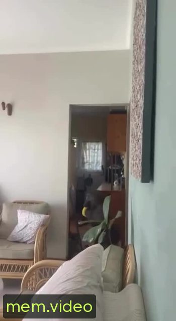 Кадр на 0:01