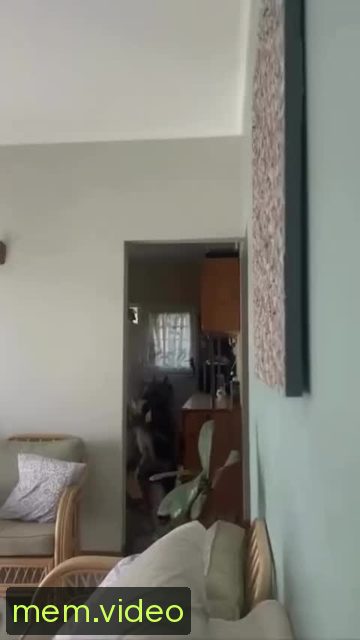 Кадр на 0:00