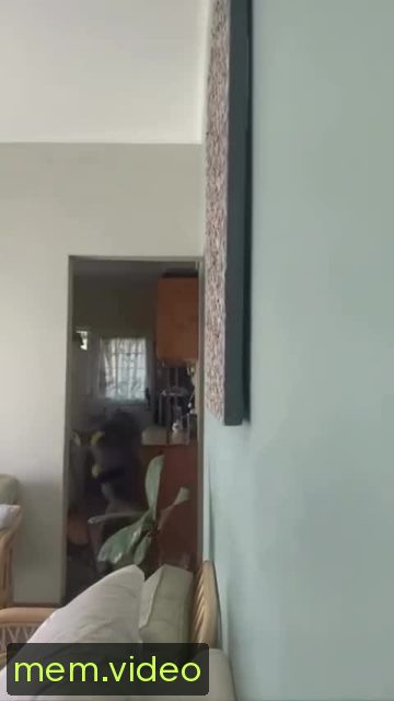Кадр на 0:00