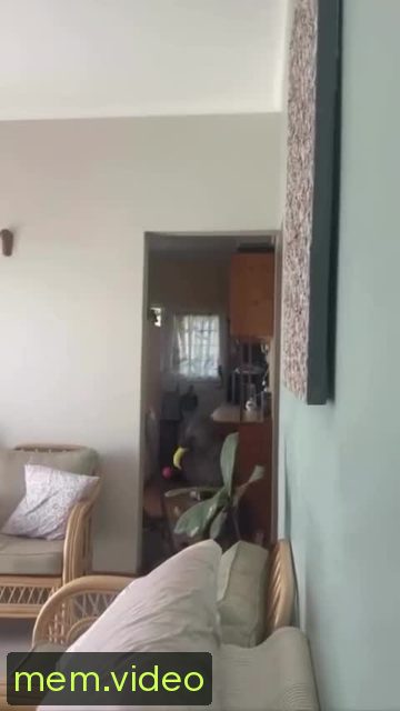 Кадр на 0:01